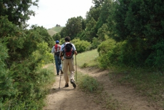 Excursion de caminata